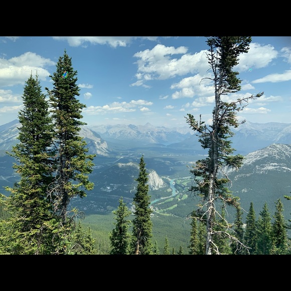 Meet your Posher, Harriet - Picture 1 of 1